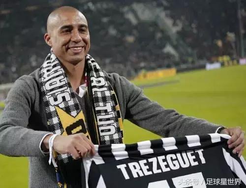 斑马神锋——“盖子”特雷泽盖