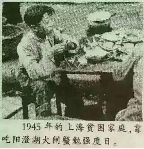 遇到老虎怎么办搞笑段子,动物遇到老虎的搞笑时刻