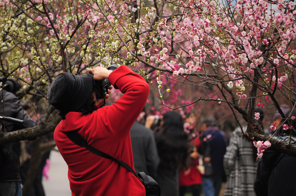 春季脸上起干皮像癣一样用皮炎平,脸上日光性皮炎怎么治疗效果好