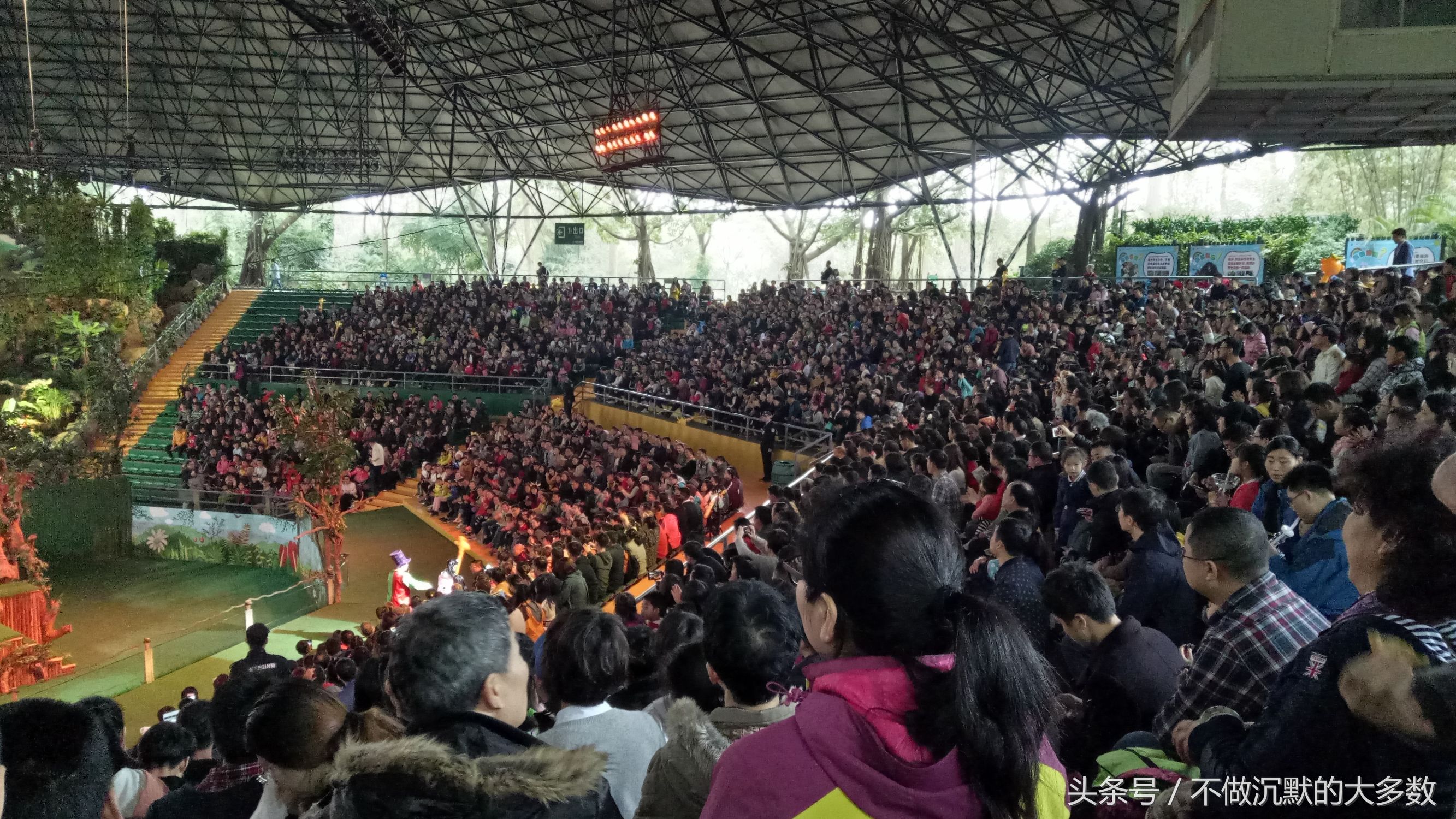 长隆野生动物园金蛇秘境有毒蛇吗,长隆野生动物园金蛇秘境怎么走