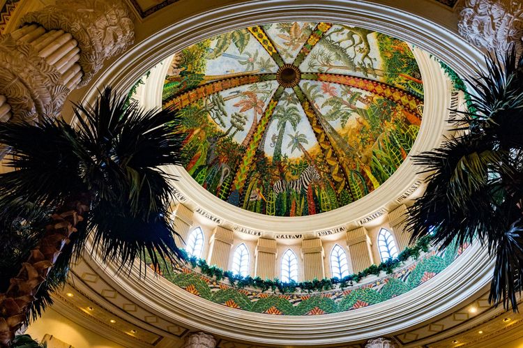 走进彩虹之国感受南非独特之美,彩虹之国南非