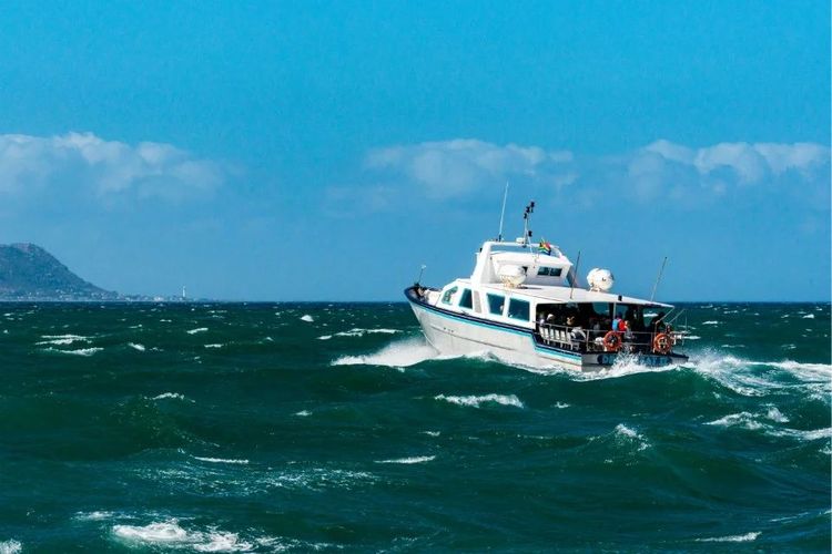 走进彩虹之国感受南非独特之美,彩虹之国南非