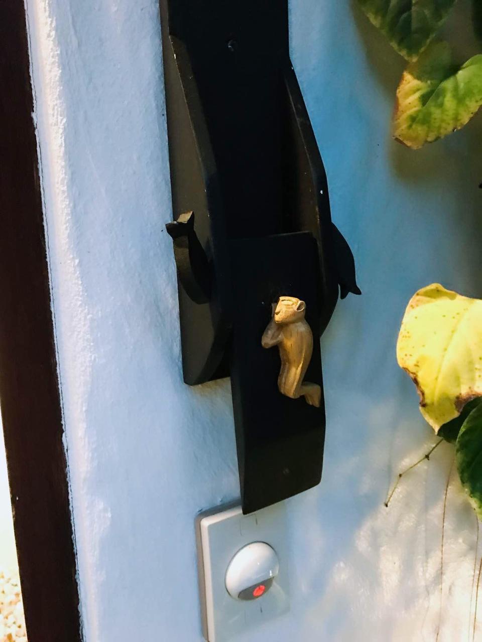 萨瓦迪卡！就在KohSamui撒野吧！