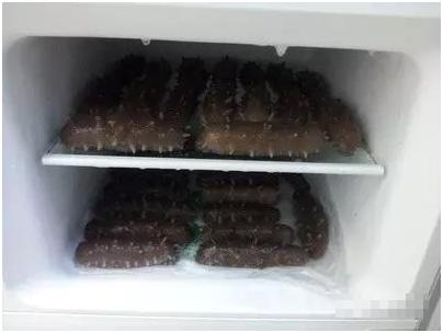 海参泡发一半有急事怎么办,想偷个懒真难