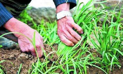 各种“第一股”搞懵小股民，干得好是噱头，玩砸了就成笑柄！