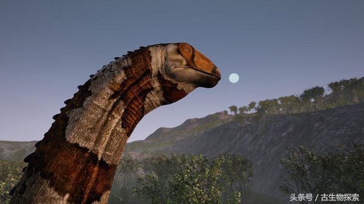 普尔塔龙恐龙视频,普尔塔龙