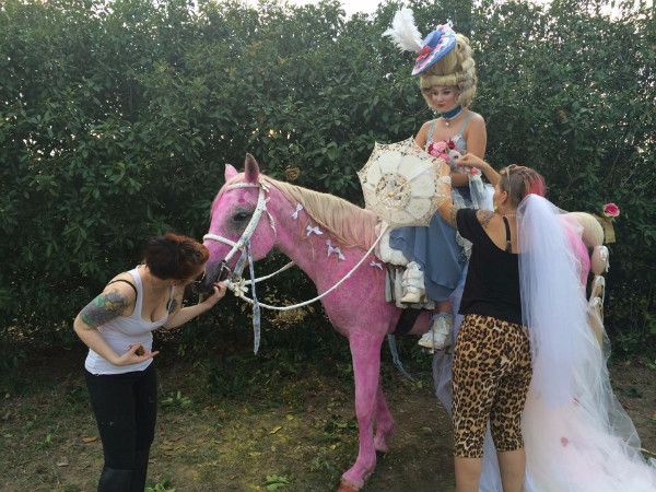 三个一无所有的女人，用以物换物和手工制作的方式再造绝代艳后！