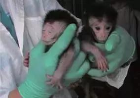 2021年国家重大科技成果,2020中国重大科技成果图片