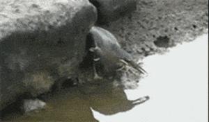 这就是朋友和闺蜜的区别,好朋友和死党区别