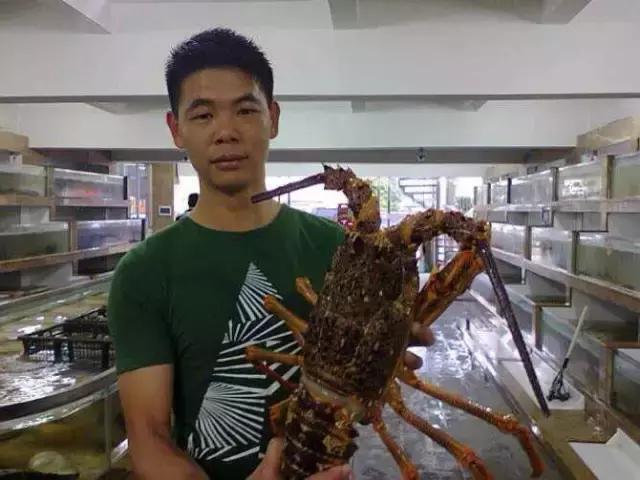 长沙人爱养什么品种的鸟,长沙人为什么喜欢养乌龟