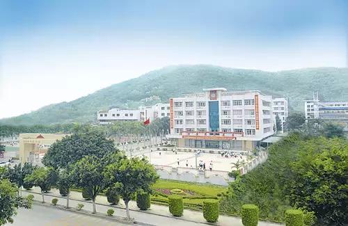 团团带你逛校园系列,团团带大家观校园