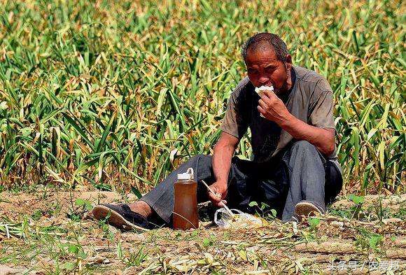 土地收入断崖式下降后物价上涨,土地租金明显低于市场价怎么办