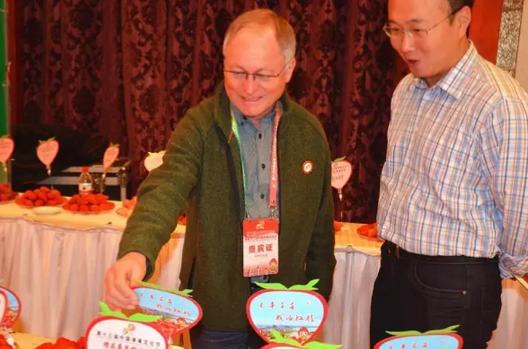 谁是草莓界的NO.1？国内外最好吃的草莓都来长丰打擂！