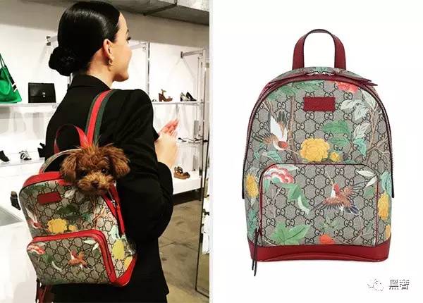 快要开学了你的行李准备好了吗,马上开学了你想要什么样的书包