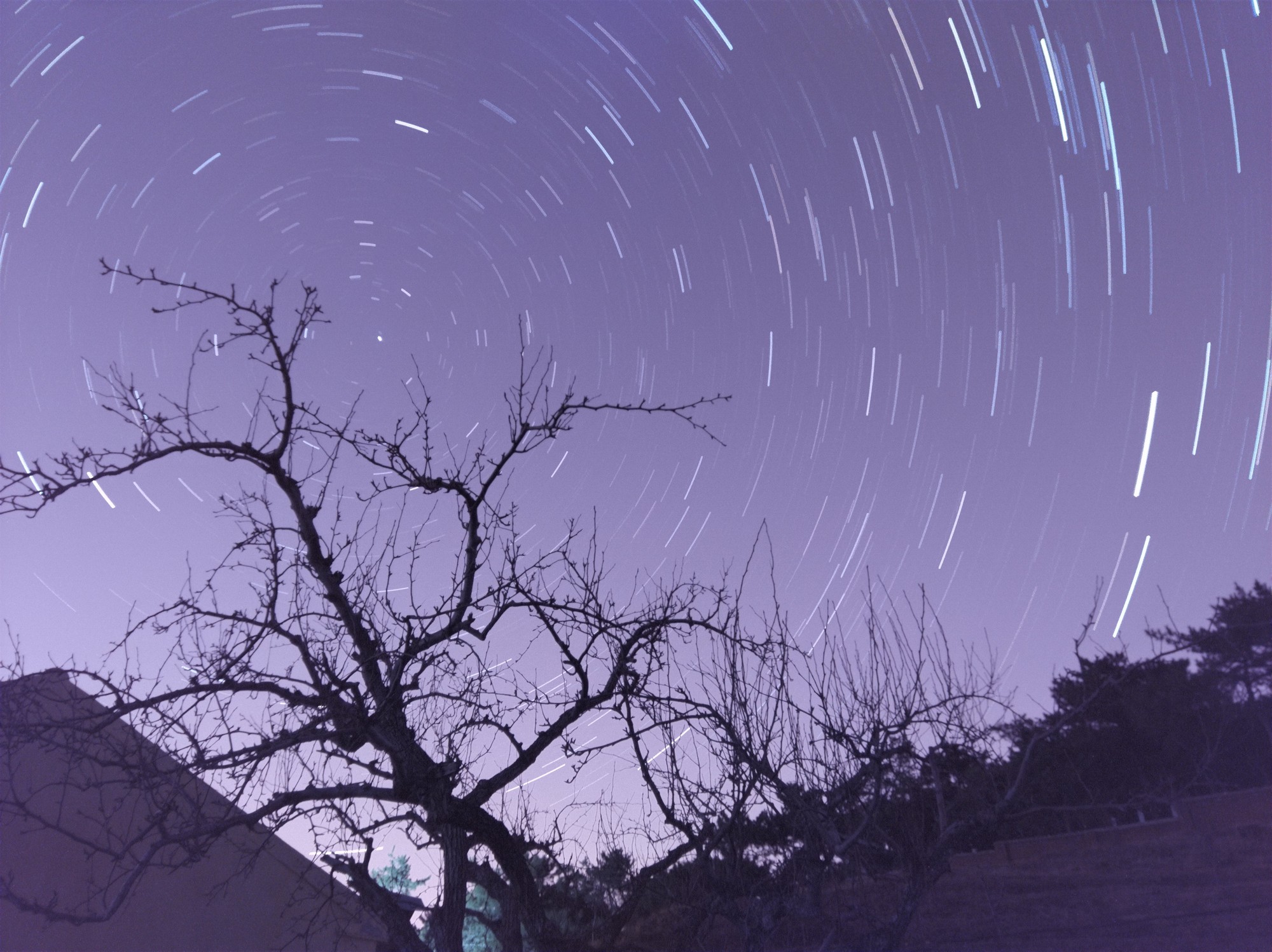 一步一步学摄影,一步一步教你学手机画画