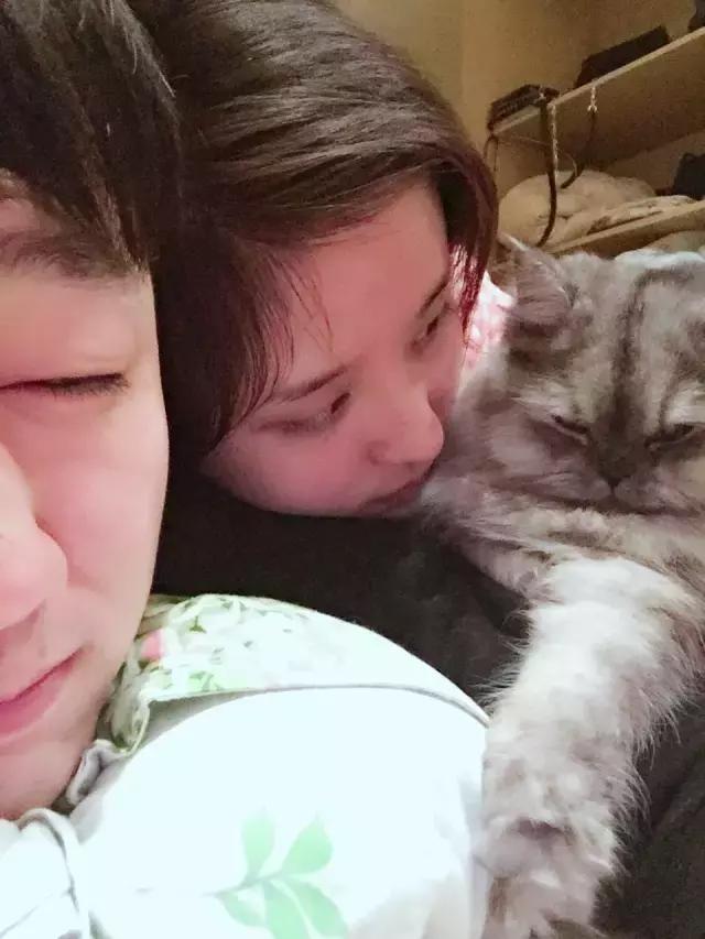 长沙人爱养什么品种的鸟,长沙人为什么喜欢养乌龟