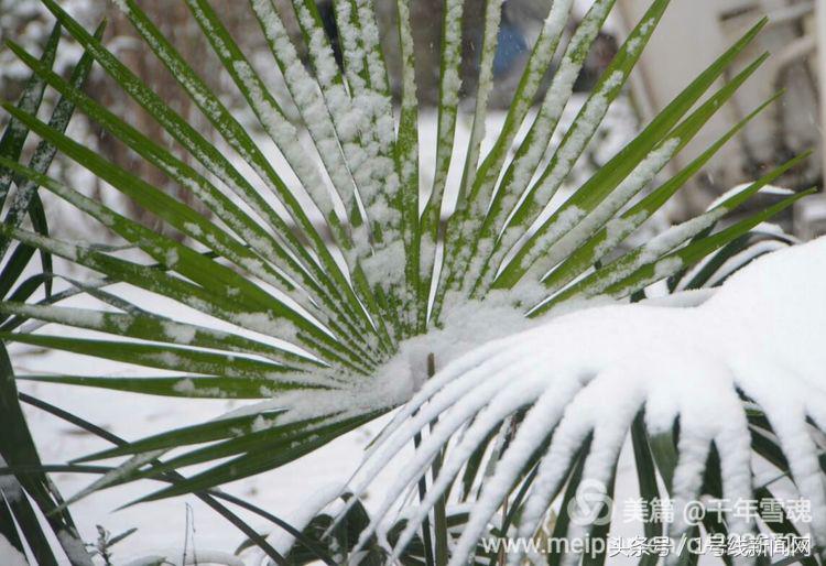 永远的余子店——文/刘宏冰