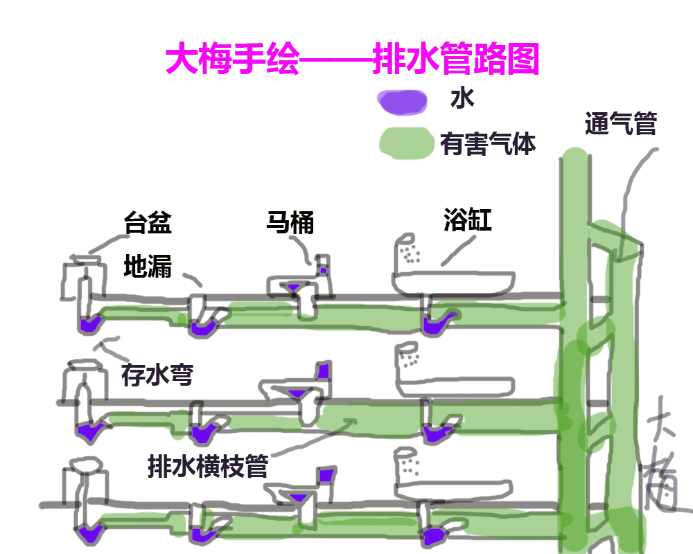卫生间一到夏季就反臭味原因,新房子卫生间特别臭怎么解决