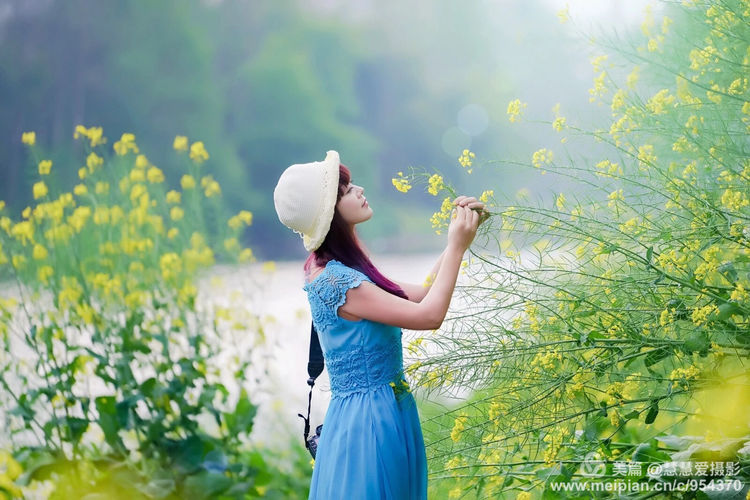 我愿化身石桥全文,我愿化身石桥歌词