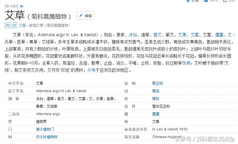 二月茵陈四月蒿包括艾蒿吗,茵陈蒿和青蒿图片