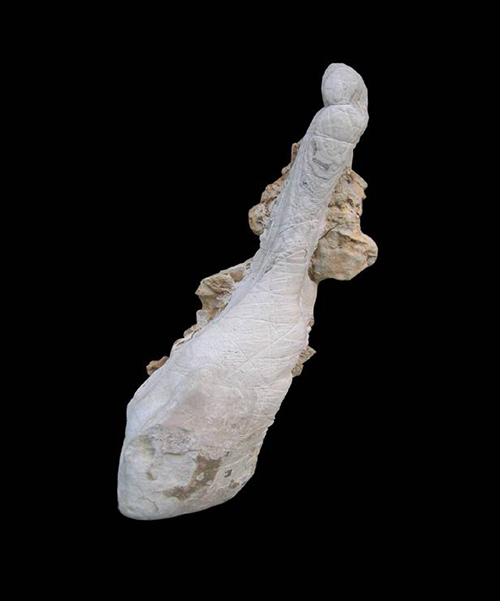 20块买下一块石头竟然价值300万,这块石头买成一千五值吗