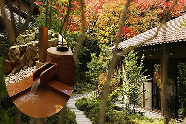 坐邮轮去日本看樱花,去日本看樱花要票么