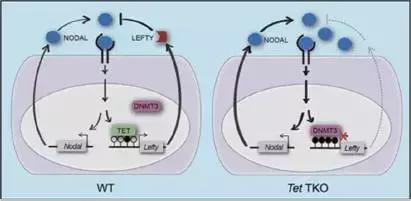 2021年国家重大科技成果,2020中国重大科技成果图片