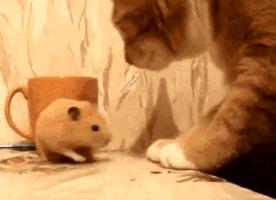 高情商逗男朋友开心的小笑话,哄女生开心100个笑话幽默