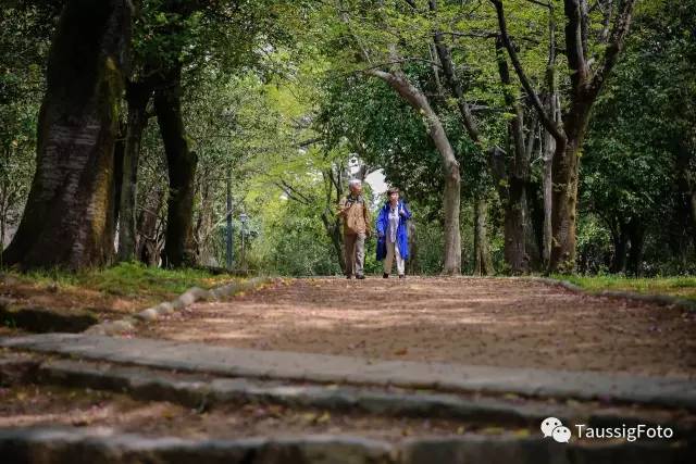 日本大阪旅游地震,日本旅游福岛地震