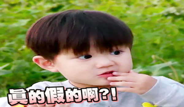 郑爽到底是放飞自我还是展示真正的自我？