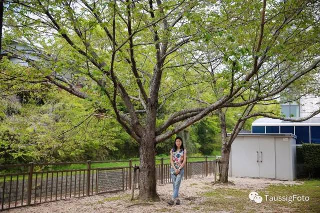 日本大阪旅游地震,日本旅游福岛地震