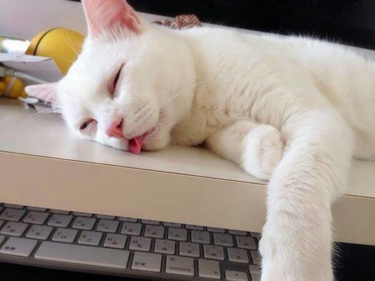 老人家失眠怎么办,失眠到天亮怎么办