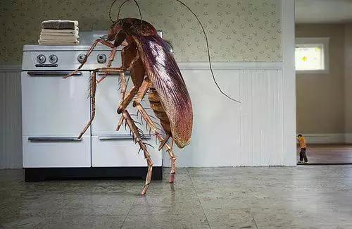 这是你们要的大长腿，备好纸巾，准备上下其手吧