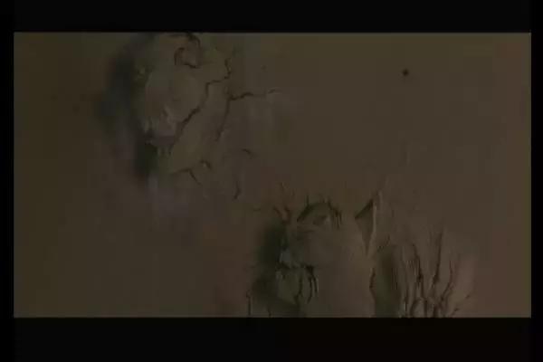 这是你们要的大长腿，备好纸巾，准备上下其手吧