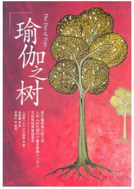 瑜伽好物推荐爆款,有什么好的瑜伽书籍推荐