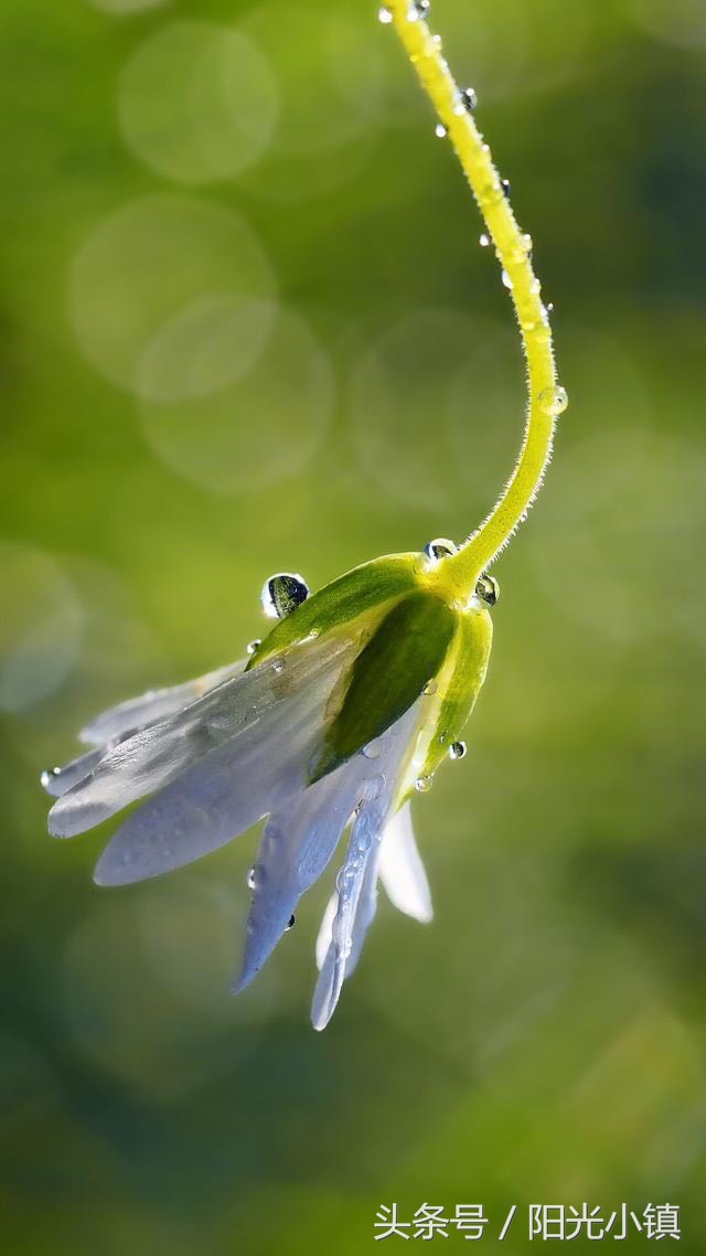 五味杂陈的流年——我艰难的2014年5月