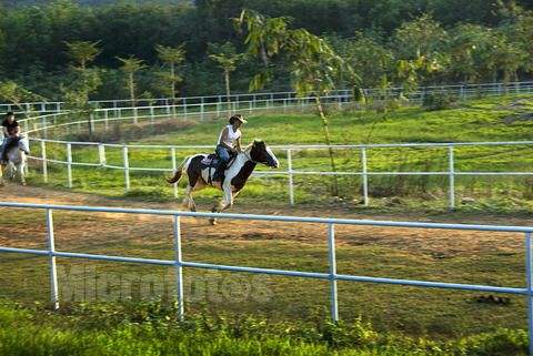 10个创业致富项目推荐,十大投资赚钱项目
