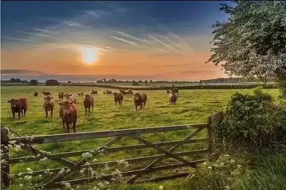 待位64年的王子，花30年将450万㎡荒地打造成世界最美庄园