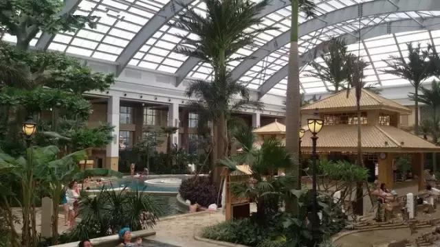 吉林国信南山温泉和圣德泉哪个好,长春国信南山温泉旅游景区