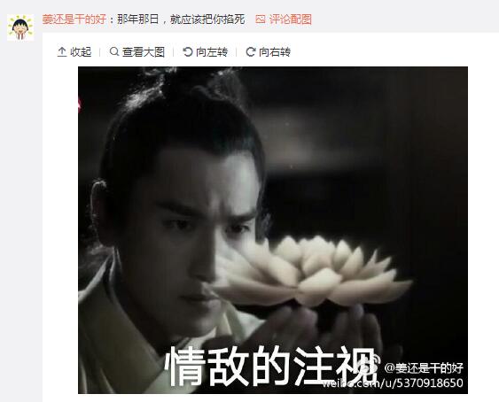 墨渊醒来认出白浅就是司音,墨渊醒来看到白浅