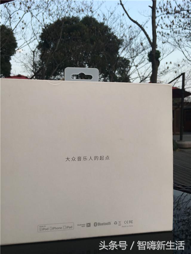 歌姬的狂躁,FIILDIVA无线降噪耳机评测