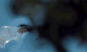 火影忍者动物会忍术,水枪射水鱼