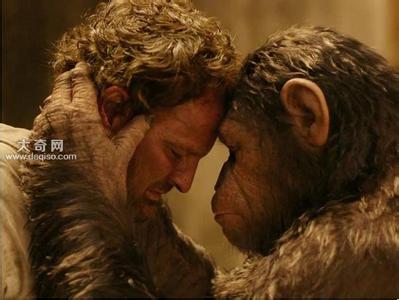 人类也是哺乳类动物吗,人类属于哺乳类动物吗