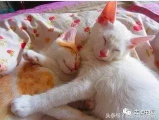 孩子在幼儿园害怕睡午觉该怎么办,宝贝在幼儿园午睡入睡晚