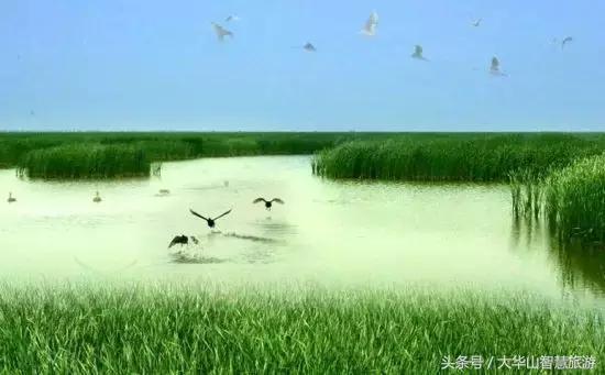 华山悠闲,周末华山一日游多少钱合适自驾