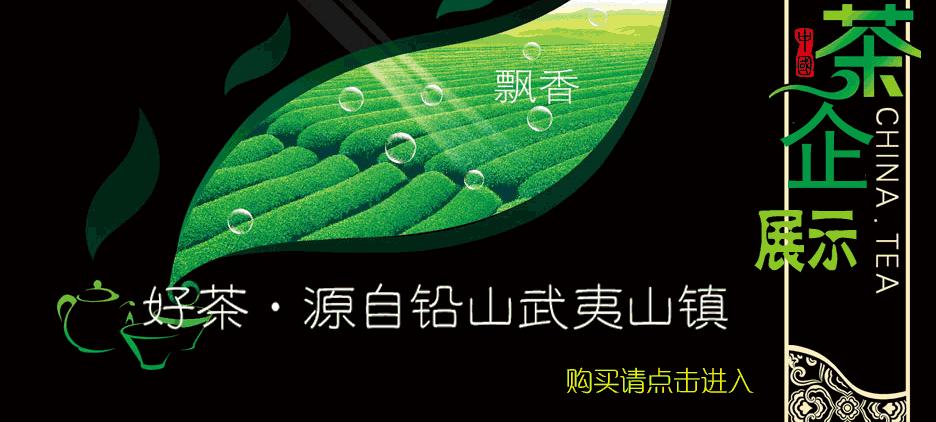 乡镇风采展示,乡镇风采