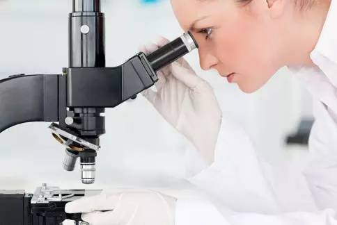 宫颈癌筛查书,宫颈癌筛查报告有几张单子