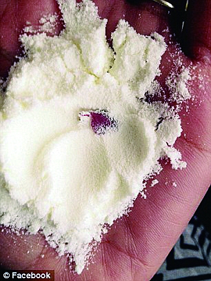 英国牛栏被曝奶粉中现蛆虫