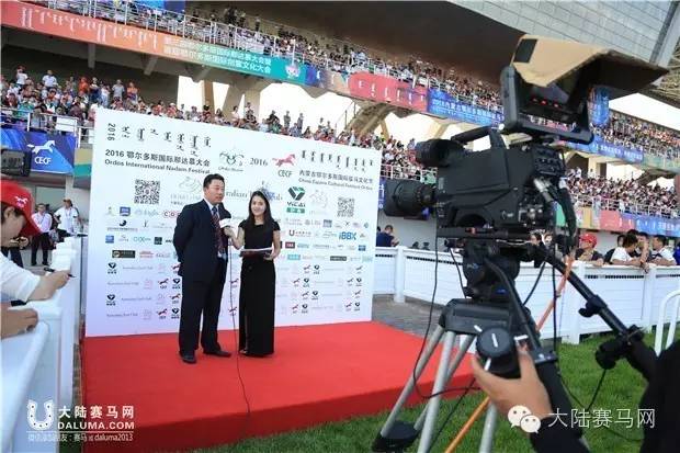 马术文化节开幕,鄂尔多斯驭马节赛事