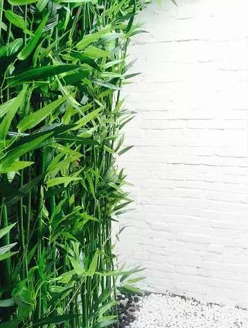 外国小鲜肉只花400元竟然租到了北京二环的房子,然而刚拿到房子的瞬间却差点哭了出来